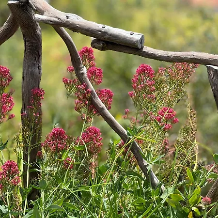 Semesterbostad Modular