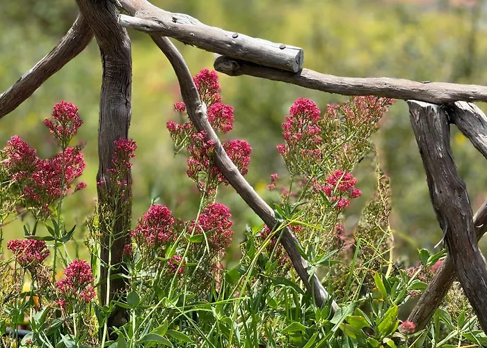 בית נופש Modular